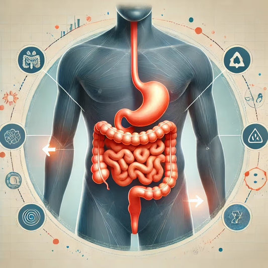Colopathie fonctionnelle : comprendre et gérer le Syndrome de l'Intestin Irritable - Gutty